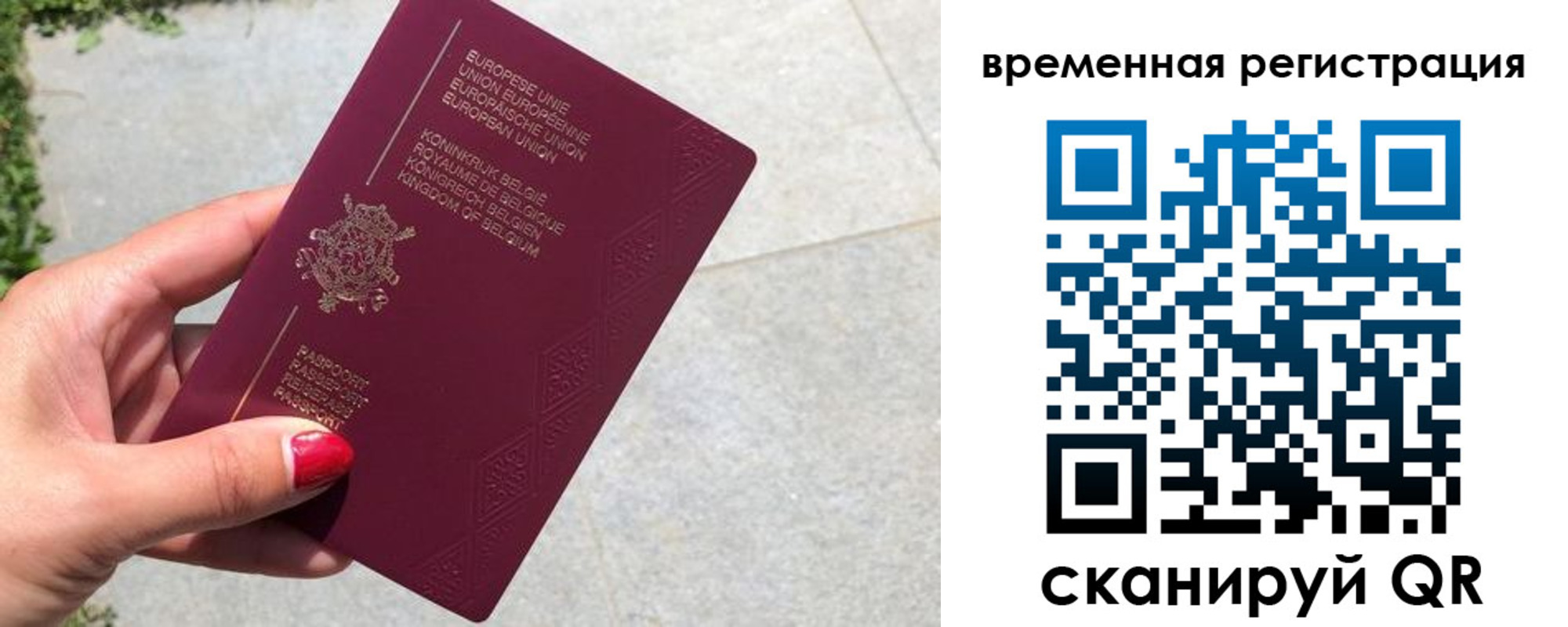 пропишу в квартире в Снежногорске